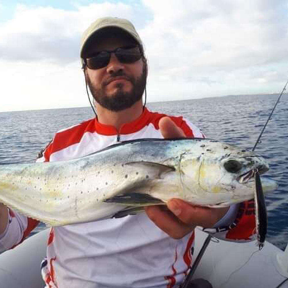 Hunthouse Minnow Jerkbait Arti – обзор и цена Fishing Equipment Daiwa
