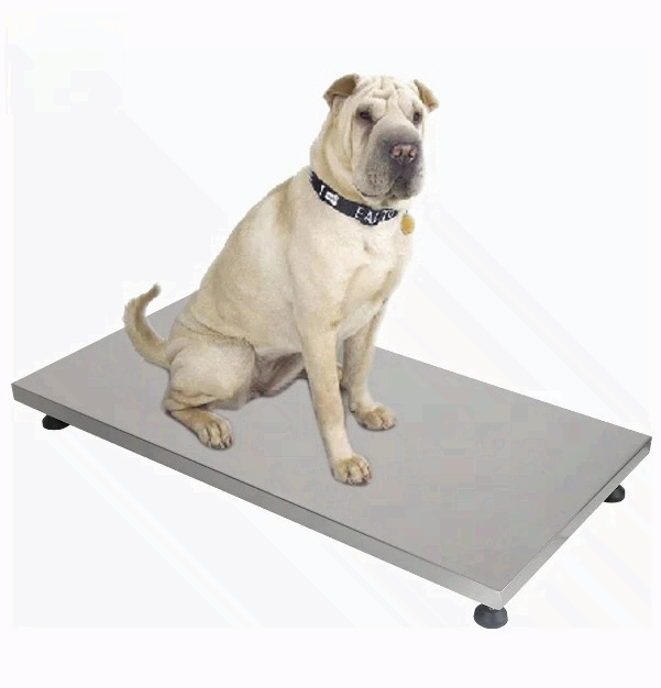 on Sale Fishing Scale Pet Scal – обзор и цена Fishing Equipment For Sale